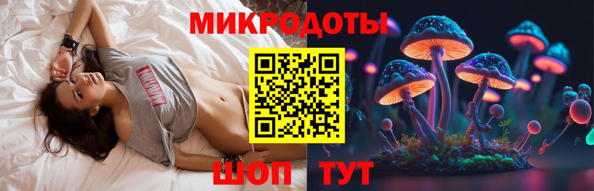 Галлюциногенные грибы Psilocybe  Галлюциногенные грибы мухоморы  магазин продажи наркотиков  Ростов Великий  Вход с VPN 